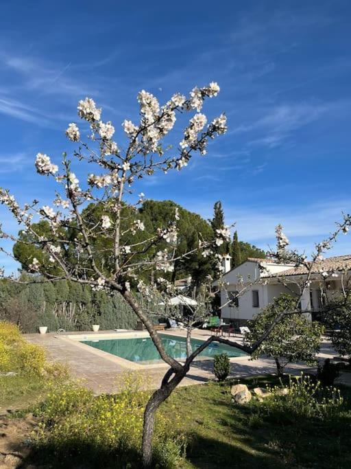 Argés Casa Galiana. 빌라 외부 사진